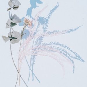 Emotional Resonance Blog Subscription